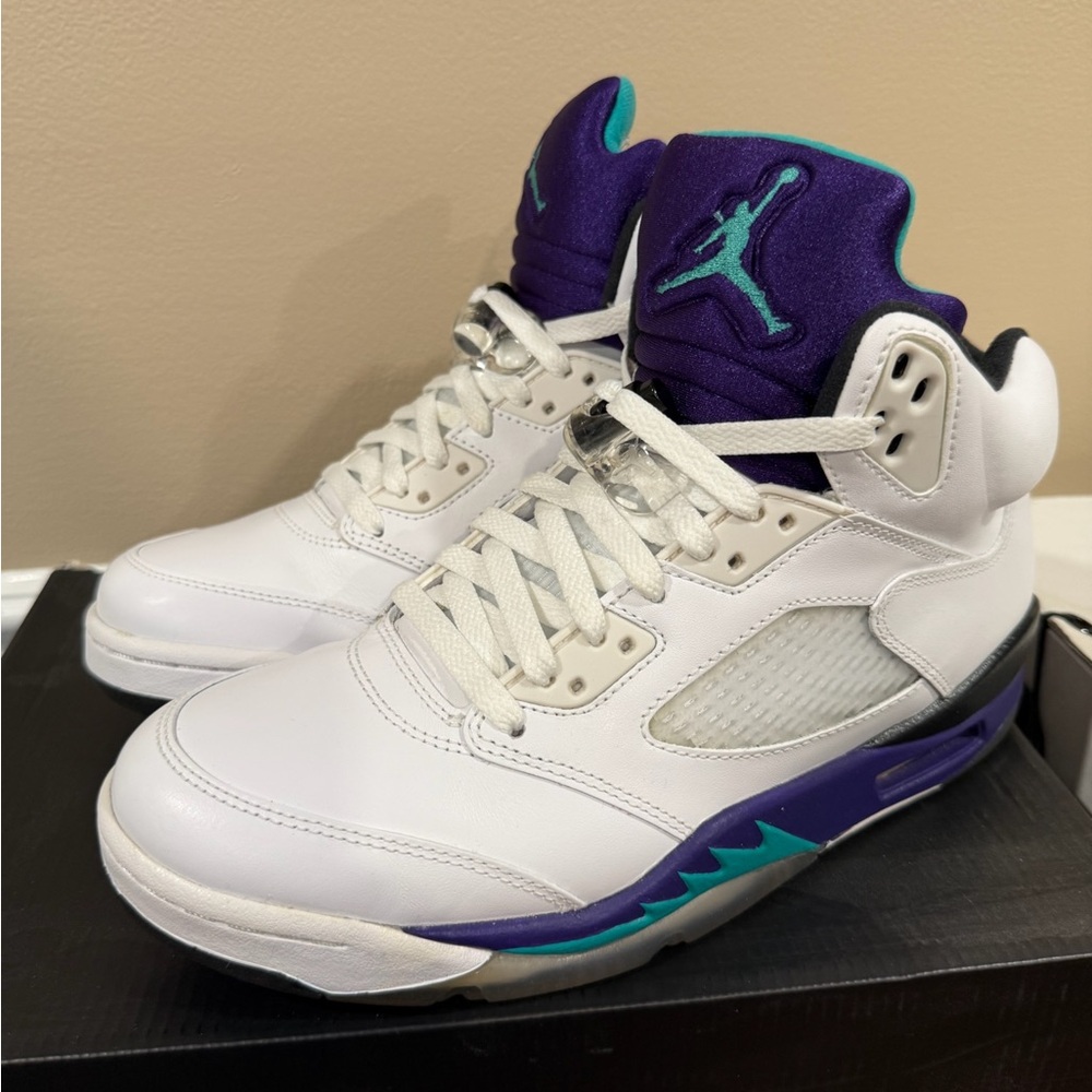 Air Jordan 5 Retro Grape Size 8 – Separation Repairable